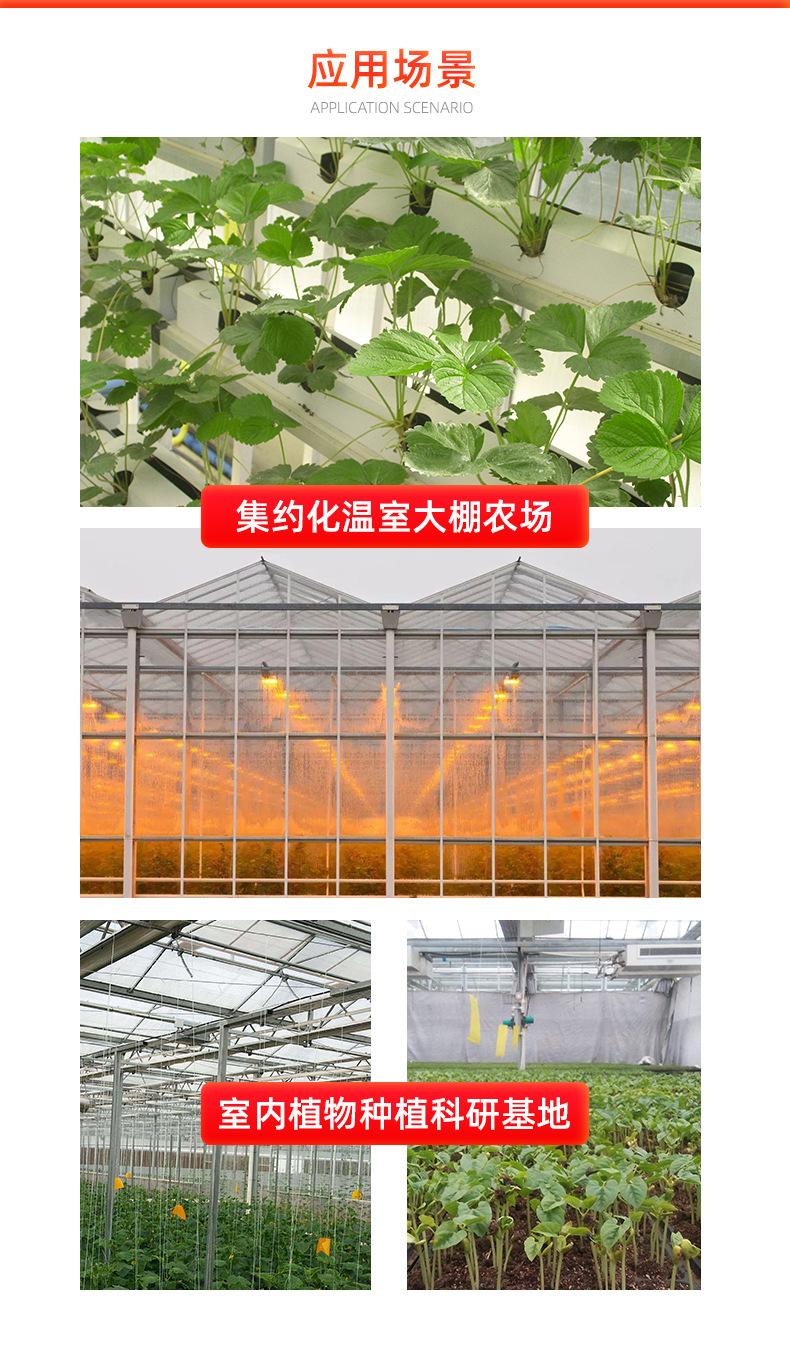 吉光详情页_10.jpg