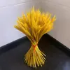 Espigas de Trigo Secas, Pequenos Buquês de Flor de Trigo, Decorações de Campo de Cevada para Cerimônia de Inauguração, Adereços de Fotografia para Presente, Decorações Naturais de Plantas