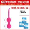 Productos Sexuales para Adultos para Mujeres, Recuperación Postparto, Bola de Estrechez Vaginal, Mancuerna Vaginal, Ejercicio de Partes Privadas, Ejercicio Muscular para Partes Privadas