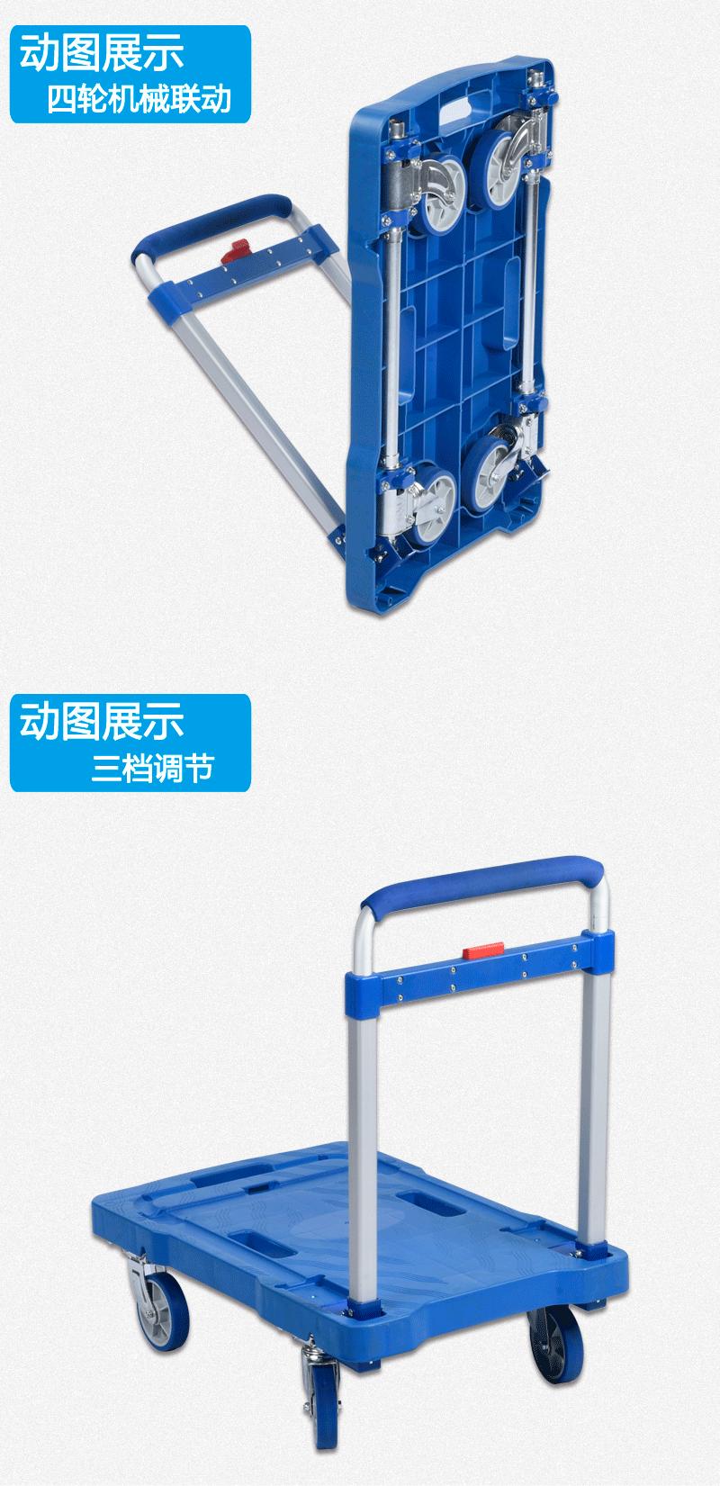 彬富新模板动图.gif