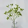 Simulación transfronteriza de estrellas de pegamento blando flores decorativas sala de estar decoración del hogar estilo lindo accesorios de fotografía para fotos flor artificial sensación de flor