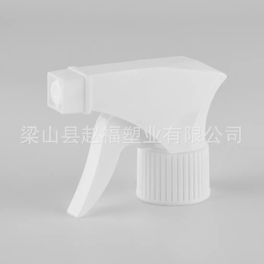 T01A全白2.jpg
