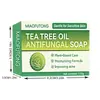 Sabonete de Óleo de Melaleuca Terpineol de Melaleuca Transfronteiriço Sabonete de Limpeza Facial Sabonete de Limpeza Controle de Oleosidade Sabonete Artesanal Tk Sabonete Popular de Melaleuca
