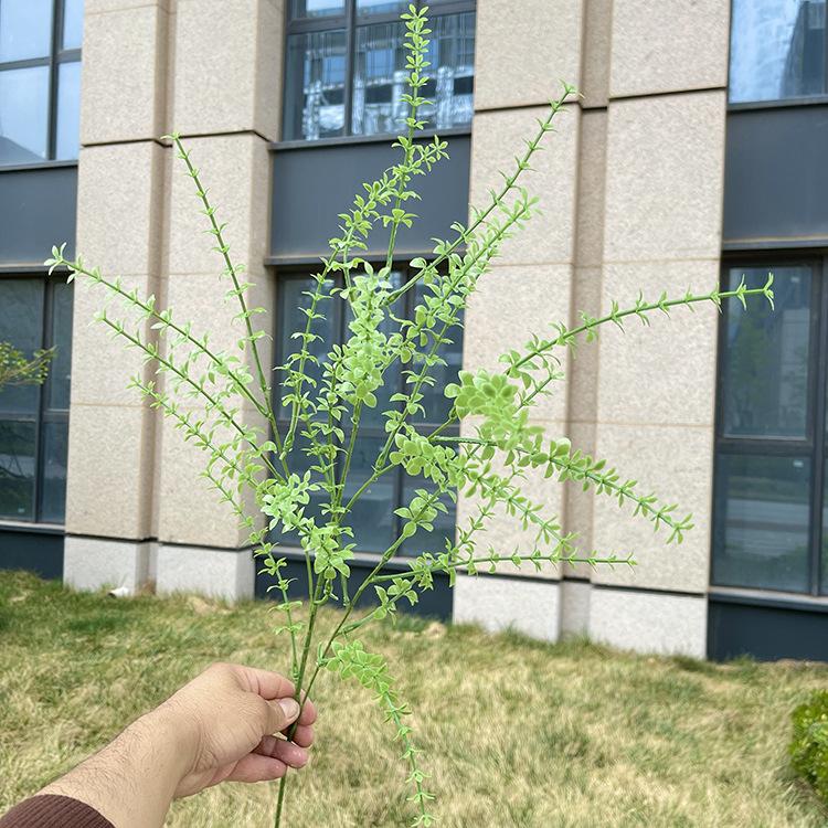 4叉原色千层草 绿色.JPG