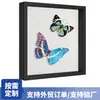 Marco de Fotos de Mariposa Hueca Tridimensional Transfronterizo Ramo de Flores Secas Exhibidor de Mariposas Caja de Sombra Soporte de Exhibición Decoración del Hogar