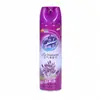 Ambientador Spray para el Hogar para Dormitorios, Coches, Hoteles, Baños de Hotel, Fragancia Desodorante y Resistente a Olores
