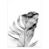 Comercio Exterior Transfronterizo Blanco y Negro Planta Pluma Flor Diente de León Dormitorio Sala de Estar Fondo Mural Lienzo Pintura Decorativa