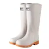 Botas de Lluvia de Moda Transfronteriza para Mujer, Zapatos para Agua de Caña Media-Alta, Botas de Lluvia para Estudiante Coreano, Zapatos de Goma Impermeables para Trabajo al Aire Libre para Mujer, Botas Altas