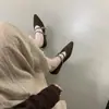 Sapatos Mary Jane Femininos 2025 Outono Novo com Fivela de Corrente em Camurça, Salto Oculto e Bico Fino, Estampa de Leopardo