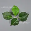 Hojas Simuladas, Hojas de Rosa de Seda Artificial, Hojas de Peonía, Paisajismo, Arreglo Floral, Accesorios de Enredadera de Flores para Colgar en la Pared, Greening Espacial DIY