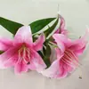 Fábrica de Fuente Preferida Transfronteriza Sanhua Flor Artificial Lirio Pequeño Planta en Maceta Restaurante Dormitorio Entrada Jardín Paisajismo Flor Artificial