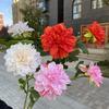 2 dalias individuales, flores artificiales para salón de bodas, exhibición en el hogar, flores falsas al por mayor