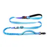Correa Personalizada para Perro con Degradado de Colores, Elástica y Retráctil, Especial para Pasear Perros al Aire Libre, Accesorios para Mascotas para Perros Pequeños