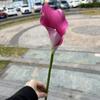 Simulação de comércio exterior fabricante de lírio-calla branco Eva lírio-calla grande flores de buquê de casamento decoração de casa macia flores artificiais