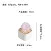 Adornos pequeños de esmalte de colores Zibo, trébol de cuatro hojas, cactus suculento en maceta, manualidades de vidrio para escritorio de oficina, regalo