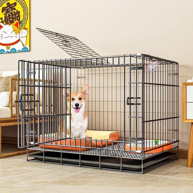 3d1e355c-7432-4171-96ff-6f826a83dbaa.jpe