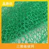 Red de Vegetación Tridimensional de HDPE para Estabilización y Refuerzo de Suelo en Taludes, Malla Geotextil Tridimensional NSS4 Red Ecológica de Protección de Taludes