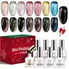 Set de 9 piezas de esmalte en gel ojo de gato vidrioso, esmalte de uñas negro, set de herramientas para nail art, nail art magnético, caja de regalo de Navidad, gel UV transfronterizo