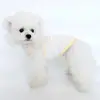 Ropa Nueva para Mascotas, Chaleco de Verano para Perros, Ropa de Dos Patas para Perros Pequeños, Delgado Teddy Bichón, Transpirable y Linda