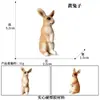 Juego de Animales de Granja Sólidos de Simulación Animal para Niños Transfronterizo Aves, Ganado, Ovejas, Caballos y Perros Adornos de Ciencia y Educación para la Granja