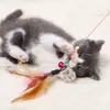 En stock para fabricantes juguete para gatos palo divertido para gatos alambre de acero plumas pez pequeño ratón cabeza de repuesto extendida resistente a morder interacción con el gato pesca