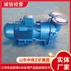 Rendimiento de Aplicación de Bomba de Vacío de Anillo de Agua Precio de Equipo de Bomba de Vacío de Anillo de Agua Bomba de Vacío de Anillo de Agua