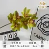 Orquídea Cymbidium Simulada Flor Artificial de Alta Qualidade Filme de Flor 3D Adereços para Arranjo de Decoração de Casamento Venda por Atacado