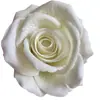 Cabezas de Flores de Rosa de Terciopelo de 10 cm con Tacto Realista, Flores Artificiales para Decoración de Bodas, Decoración del Hogar, Flores Artificiales, Flores Artificiales al por Mayor
