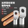 Cnxi Huaxi Technology Sc Nariz de Cobre Engrosado de Cobre Bloque de Terminales Prensado en Frío Estándar Nacional Terminal de Cableado con Nariz de Cobre Fabricante
