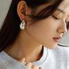 Aretes Colgantes de Metal Minimalistas de Alta Gama Estilo Frío para Mujer Europeos y Americanos Personalidad Ins Combinables Diseño Nicho Aretes para Mujer