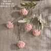 Fabricante de Dientes de León Estilo Ins Flores Artificiales Flores Falsas Plantas Verdes Venta al por Mayor Decoración de Bodas Manualidades Transfronterizo