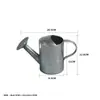 Regadera Mini Personalizada, Regadera de Hierro Galvanizado Estilo Vintage, Regadera para Jardinería Doméstica, Adorno Decorativo