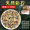Piedras Naturales de Colores Guijarros de Flor de Lluvia de Colores Plantas en Maceta Suculentas Hidropónicas Acolchado Relleno de Fondo de Acuario Decoración de Patio Otros