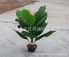 Planta artificial hojas falsas en maceta hoja de plátano escorpión hoja de plátano belleza hoja de plátano suelo bonsái sala de estar venta al por mayor