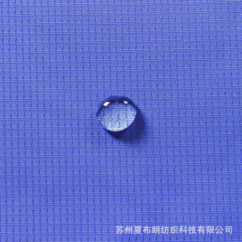 IMG_8389