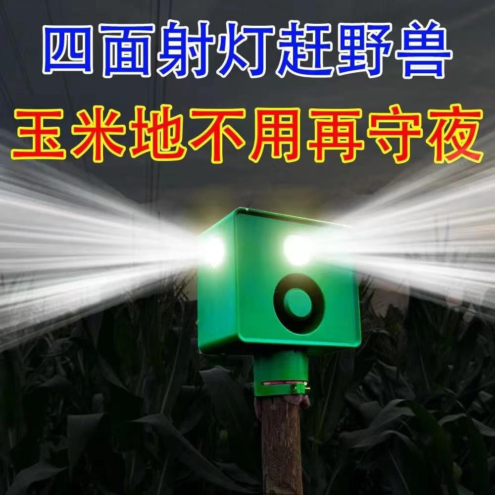 详情-1