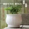 Maceta Grande de Cerámica con Bandeja para Uso Doméstico, Diseño Creativo y Único para Plantas Verdes, Chlorophytum y Suculentas