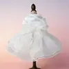 Fabricante de Suprimentos para Animais Venda Direta Atacado Vestidos de Casamento para Cachorros Cross-Border Amazon Vestidos para Animais Saias Vestidos Roupas para Animais