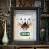 Marco de Fotos Negro Estilo Europeo Tridimensional Hueco 2cm de Profundidad Caja de Exhibición para Montaje Propio de Espécimenes de Insectos y Mariposas Marco Vacío Fábrica