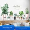 Adesivos de Parede Personalizados Fx-C01 Personalizados com Fotos, Plantas Tropicais Verdes, Cacto Grande em Vaso Suculento Rodapés