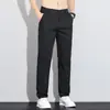 Calça Masculina Casual de Seda Gelada Fina de Verão de Alta Qualidade Reta Solta para Negócios Novo Estilo 2026 Calças Longas Casuais Calças Masculinas