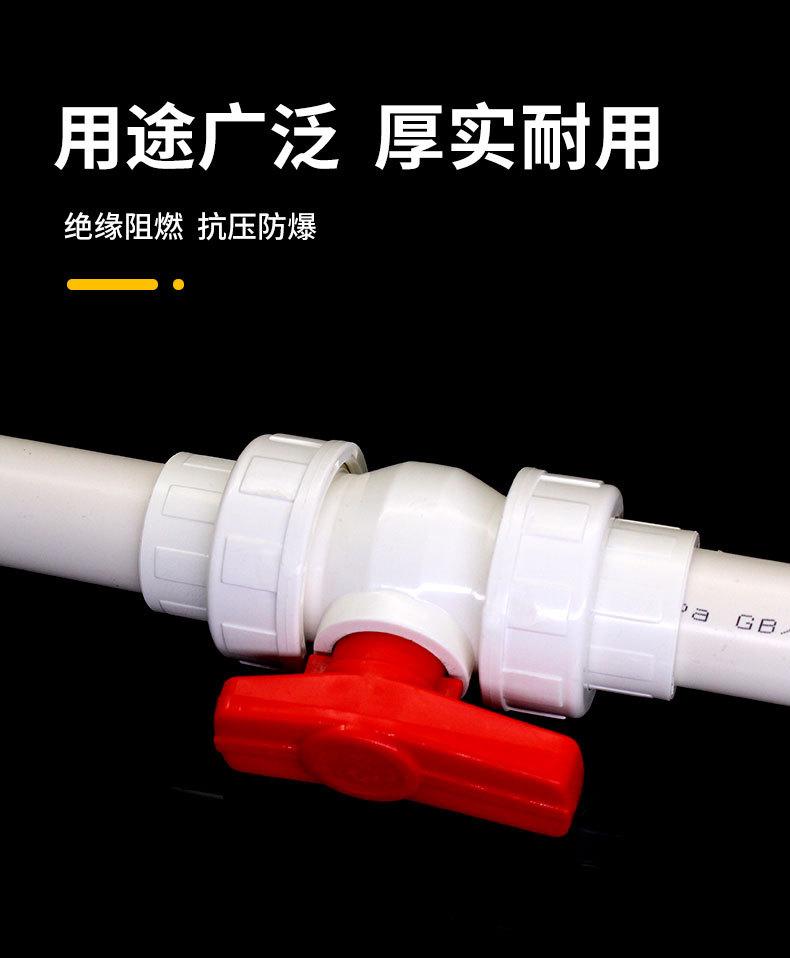 PVC双活接球阀_04.jpg
