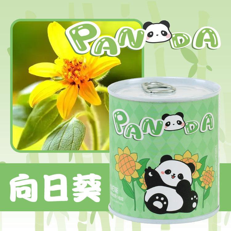 向日葵