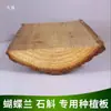 Tabla de madera en lugar de tabla de plantación tabla epífita Phalaenopsis helecho cuerno de ciervo helecho serpiente Dendrobium tabla colgante planta interior Dendrobium abeto
