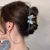 Nuevo clip metálico para el cabello de mariposa goteando aceite, lindo pasador de celebridad de Internet, pasador para la parte posterior de la cabeza, clip grande de tiburón, agarre para el cabello, accesorios para el cabello