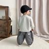 Conjunto de Sudadera para Bebé Niño Ropa de Otoño Dibujos Animados Lindo Mangas Largas Ropa de Primavera y Otoño para Pequeños para Salir y Elegante Conjunto de Dos Piezas