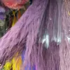 Hierba Barba de Dragón Eterna, Hierba de Junco, Flores Reales, Venta al por Mayor Fabricante de Yunnan, Serie Fuegos Artificiales de Ensueño, Materiales Florales para Cortinas de Boda, Decoración Suave