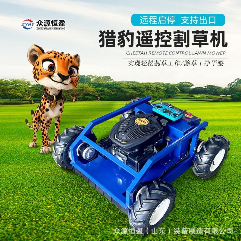 Q猎豹500头图 (1).jpg