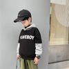 [Beneficio de Código Rompedor] Sudadera con Capucha para Niño Espesada 2022 Nueva Ropa para Niños Chaqueta de Terciopelo de Color Puro Estilo K para Niños