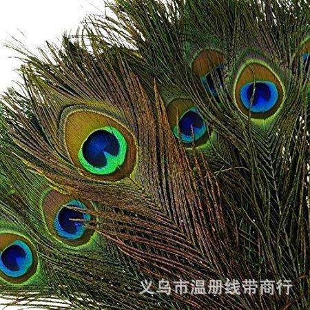 孔雀毛4